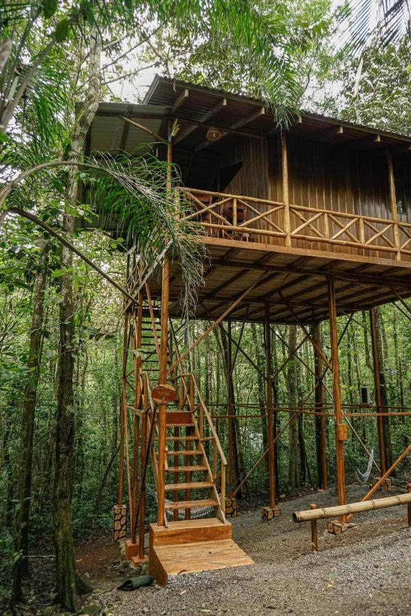 Tree Houses Hotel Costa Rica Florencia Exterior foto